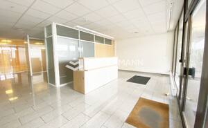 Bureau Avenue Blanc - 1202 Genève - 244 m²